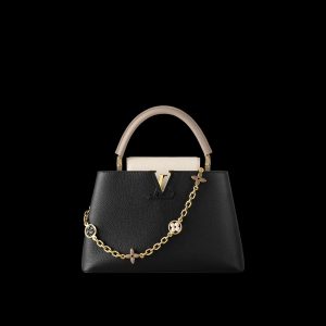 Louis Vuitton CAPUCINES MM M20708