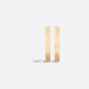 DIOR 30 Montaigne Earrings