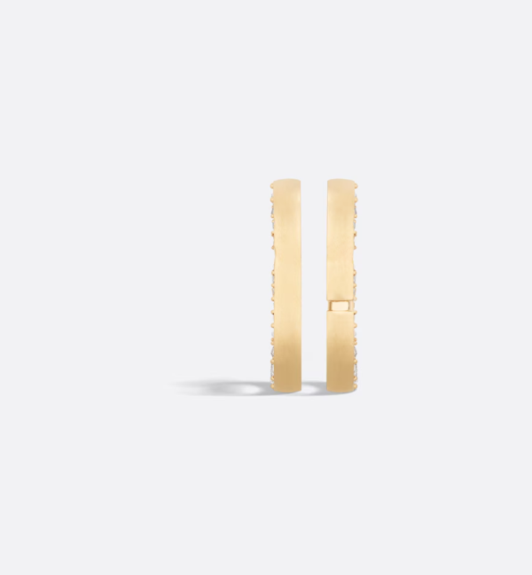 DIOR 30 Montaigne Earrings