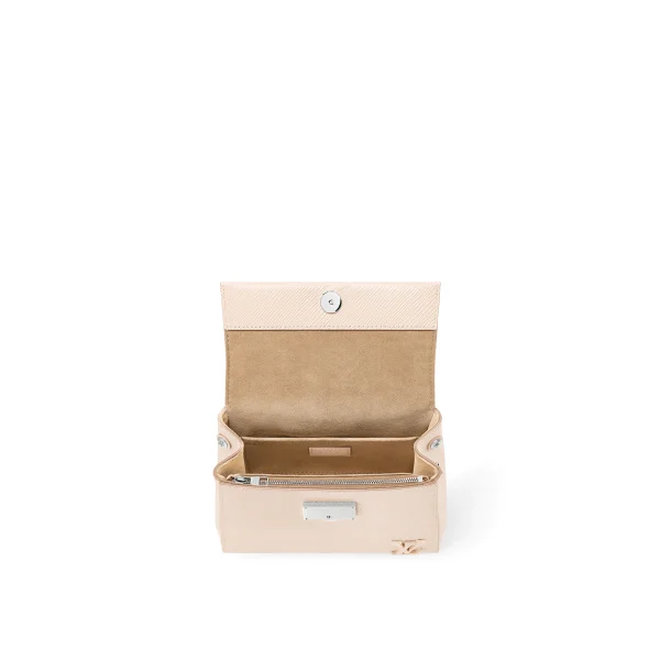 Louis Vuitton Cluny Mini M58928