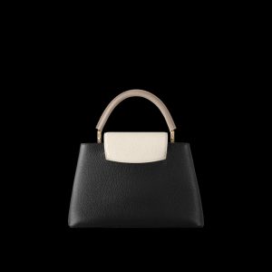 Louis Vuitton CAPUCINES MM M20708