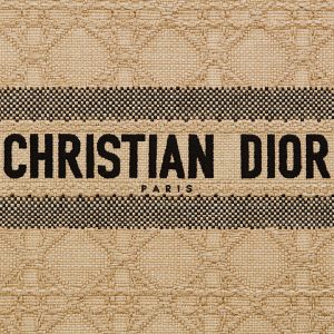 DIOR LARGE  BOOK TOTE