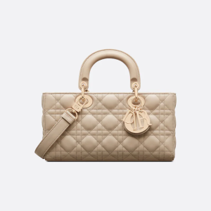DIOR MEDIUM LADY D-JOY BAG