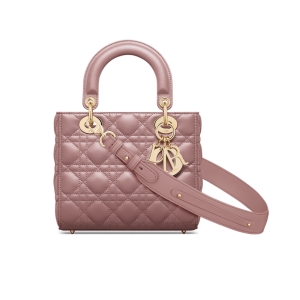 DIOR SMALL LADY  MY ABC BAG