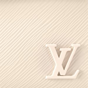 Louis Vuitton Cluny Mini M58928