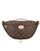 Louis Vuitton Bumbag M43644