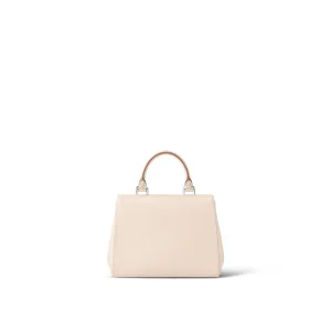 Louis Vuitton Cluny Mini M58928