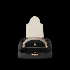 Louis Vuitton CAPUCINES MM M20708