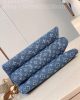 Louis Vuitton M24564 NEW Coussin PM