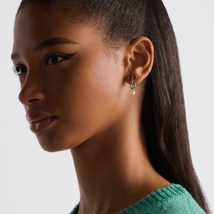 DIOR Petit CD Earrings