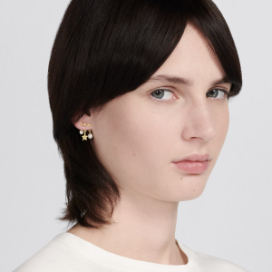 DIOR Evolution Earrings