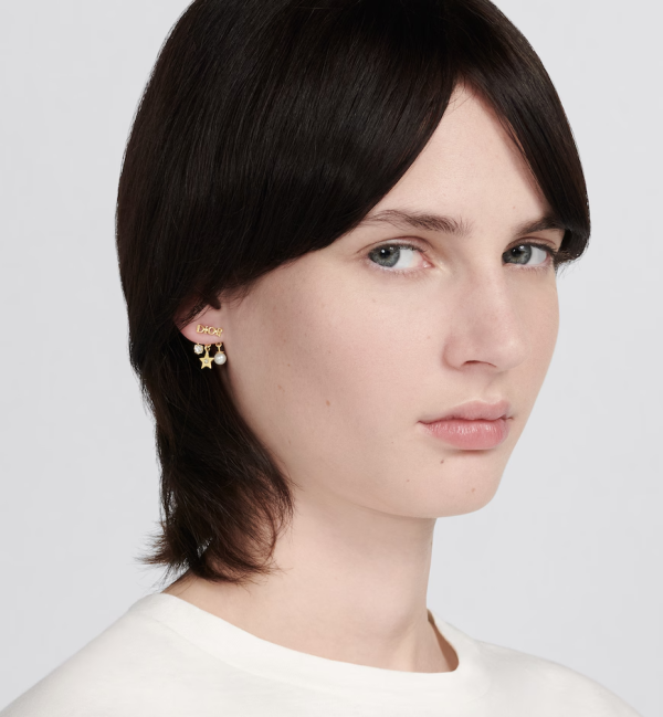 DIOR Evolution Earrings