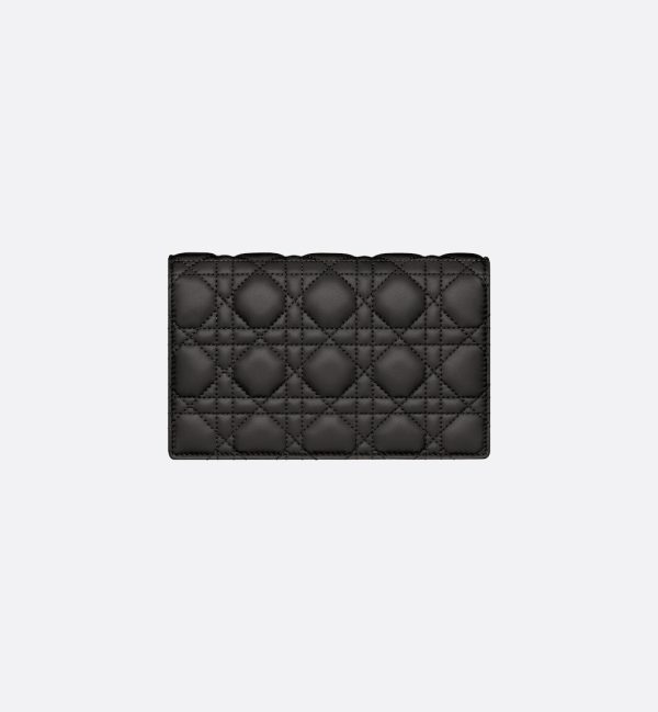 DIOR My Daily Chain Pouch