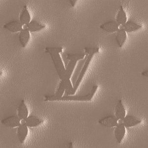 Louis Vuitton COUSSIN MM