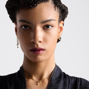 DIOR Petit CD Treasure Earrings
