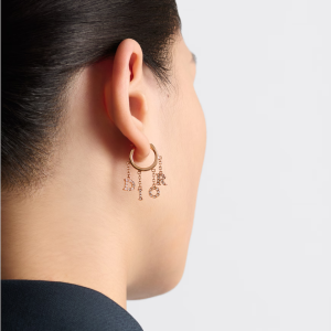 DIOR Evolution Earrings