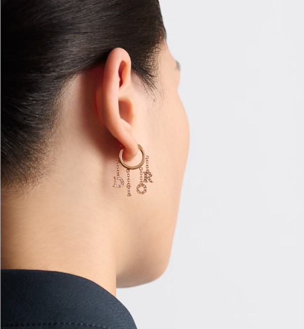DIOR Evolution Earrings