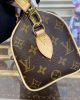 Louis Vuitton Speedy Bandoulière 20 M46222